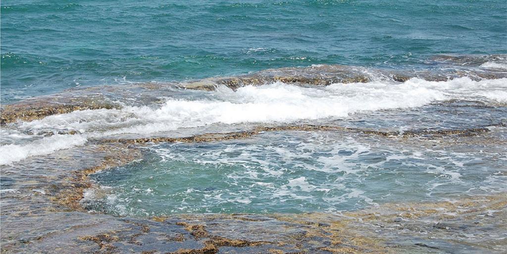 Yamim Suites On The Beach シャヴ・ジオン 部屋 写真